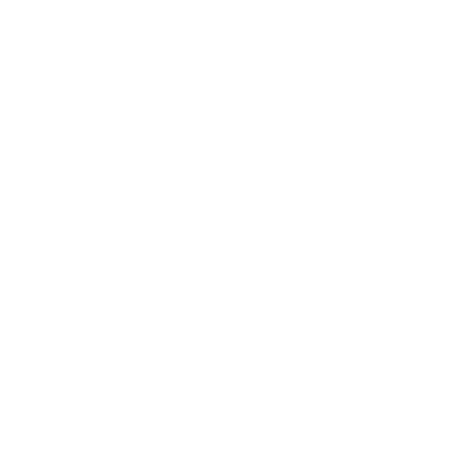 construction dumpster rental
